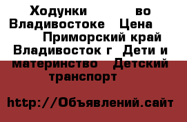 Ходунки Babyland во Владивостоке › Цена ­ 1 000 - Приморский край, Владивосток г. Дети и материнство » Детский транспорт   